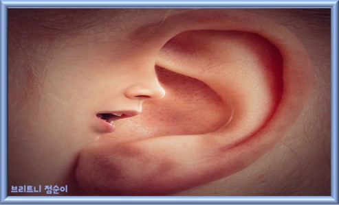귀 통증 원인 오른쪽 머리 귀 뒤쪽 통증