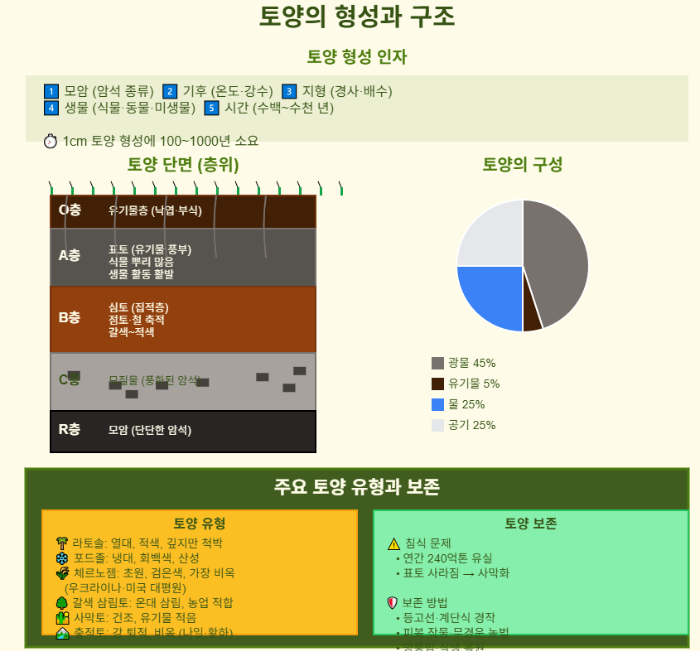 토양의 형성과 특성