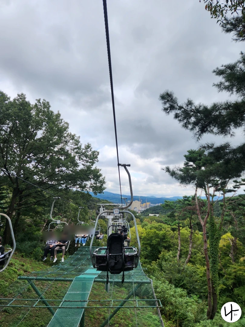 휴먼-스카이를-이용하는-사람들