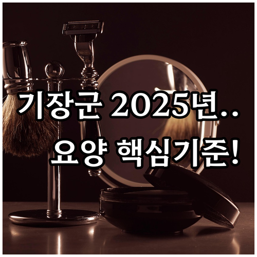 노인 복지 사각지대 해소 2025 기..