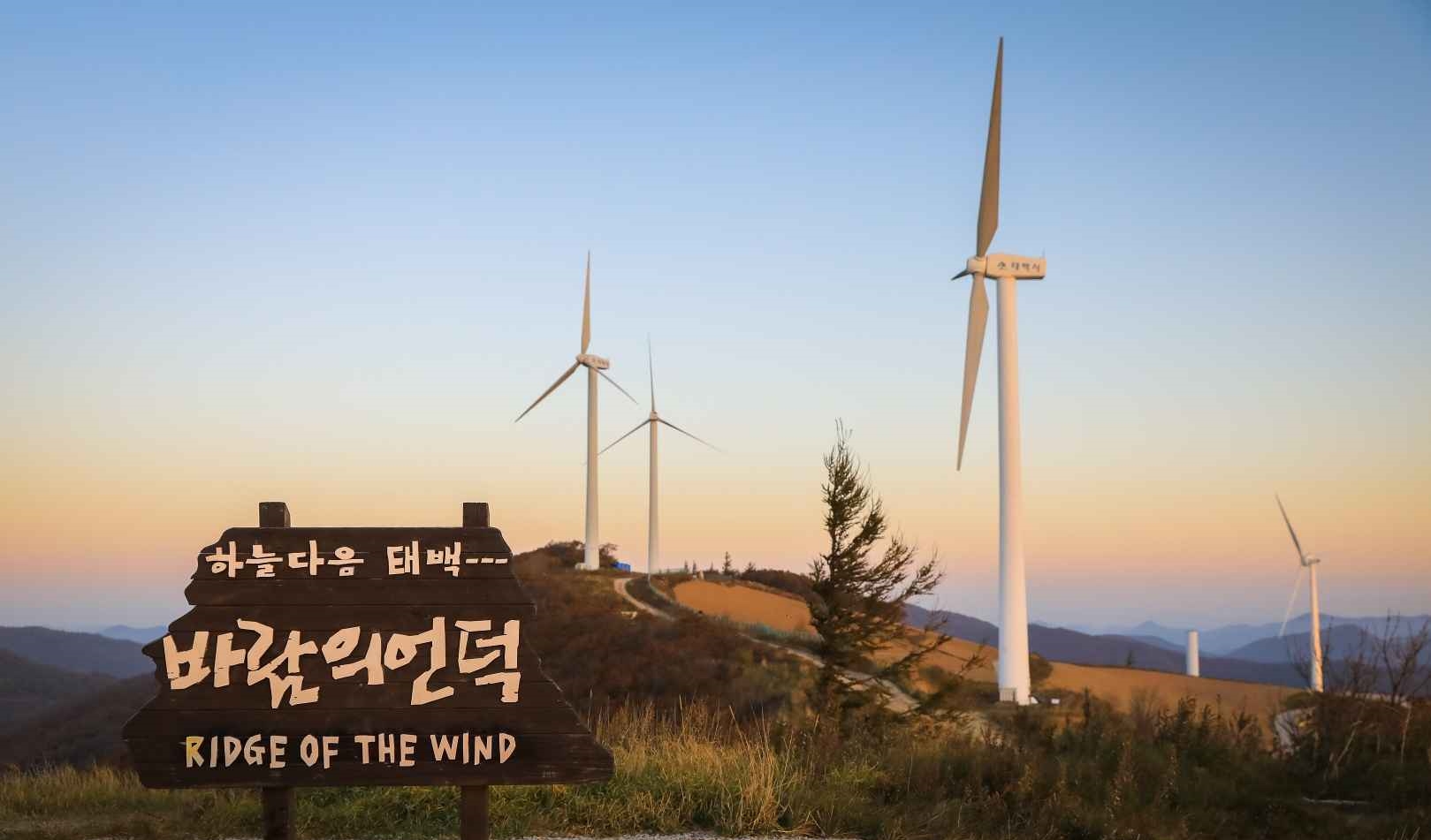 태백 매봉산 바람의언덕