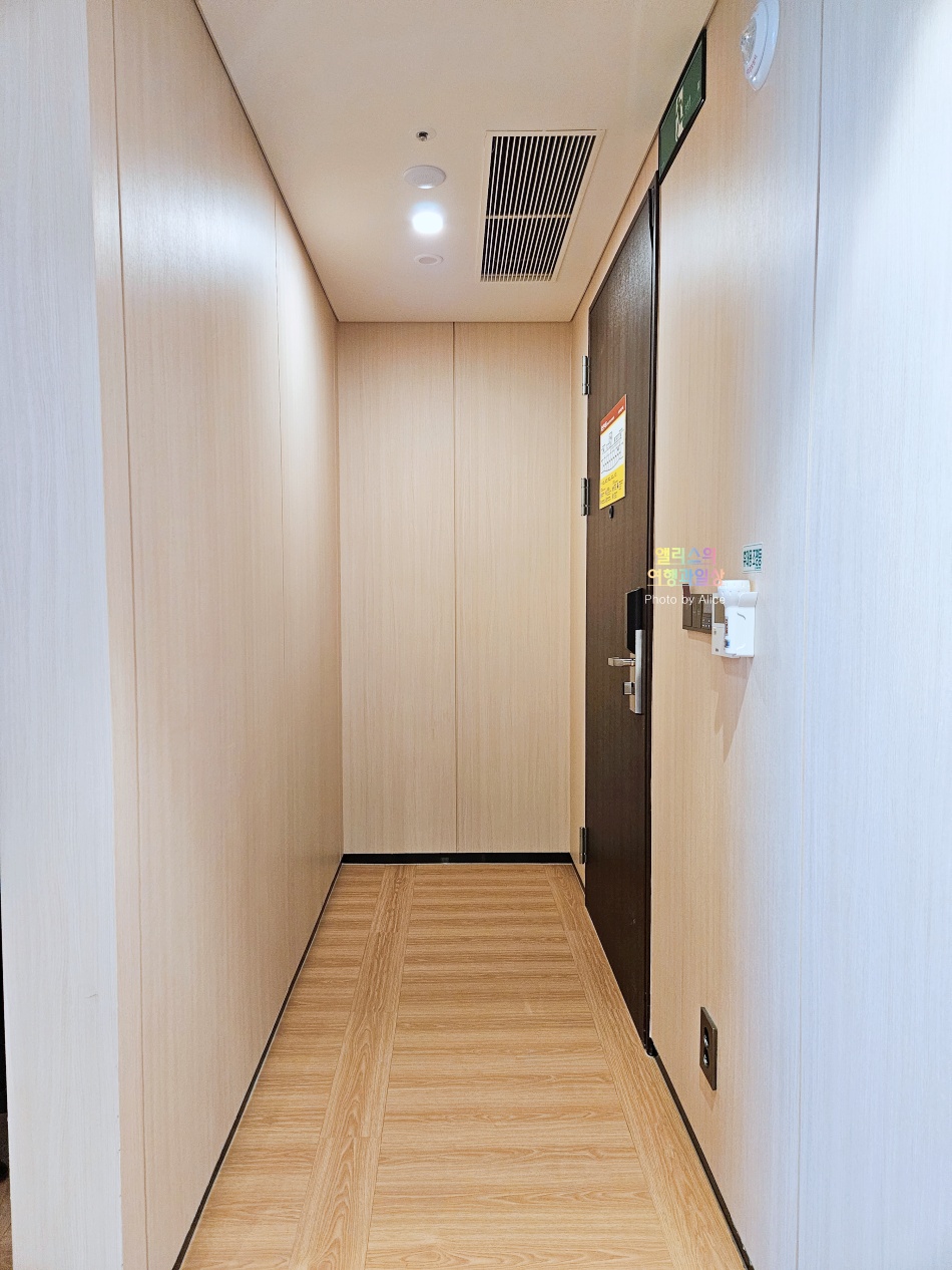 울산 전객실 오션뷰 숙소 타니베이 호텔 디럭스 더블룸 기본 객실 후기 + 조식