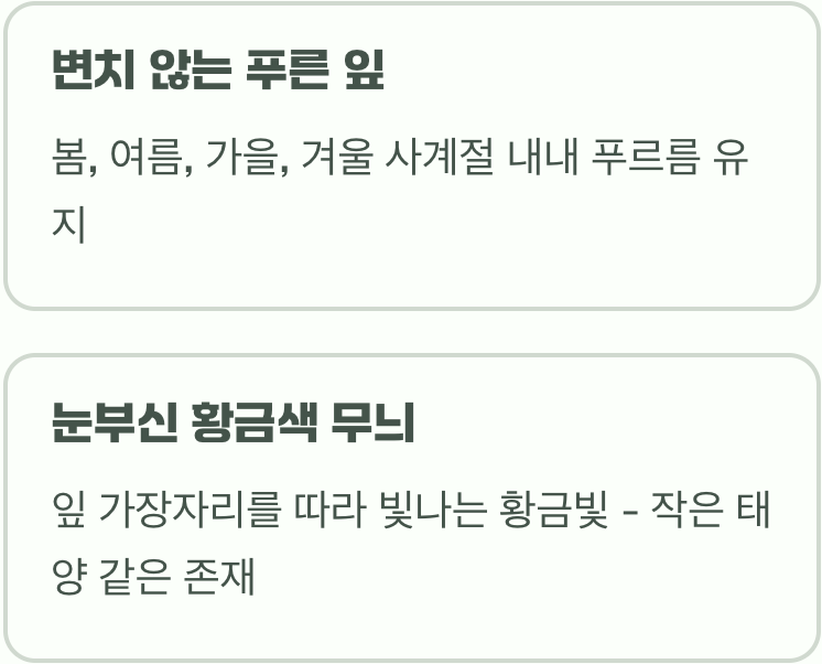 사계절 빛나는 작은 태양