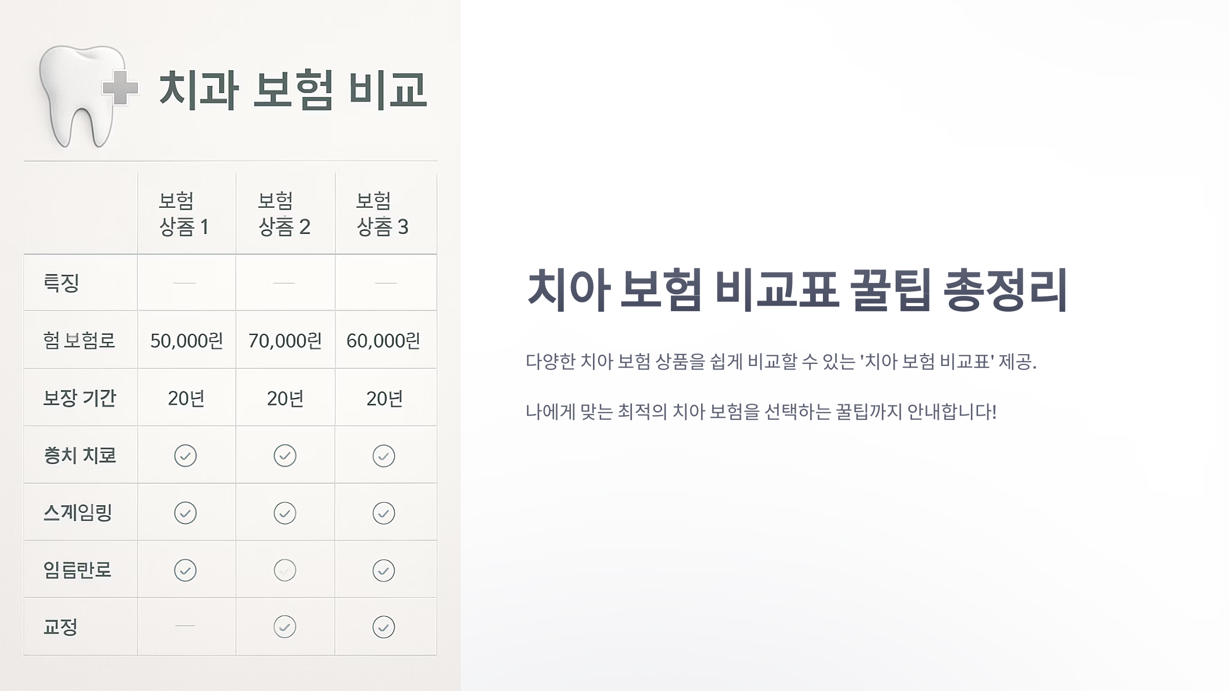 치아-보험-비교표-01