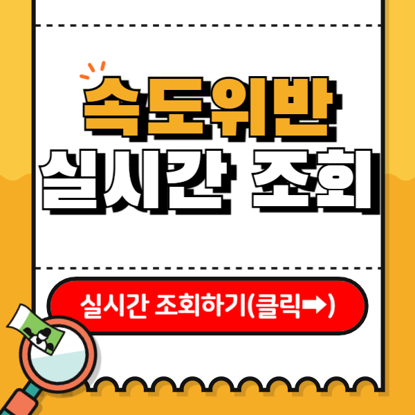 속도위반 실시간 조회 ✅방법 및 주의사항