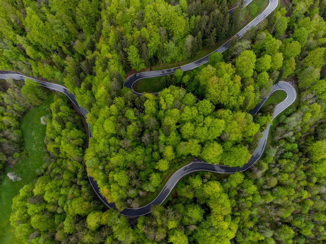 Land