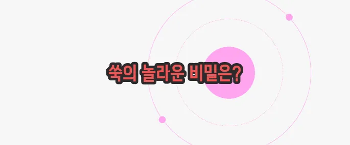 쑥 효능 지금부터 들여다보죠