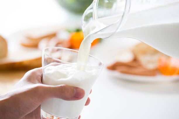 🥛 락토프리 우유, 일반 우유보다 더 건강할까?