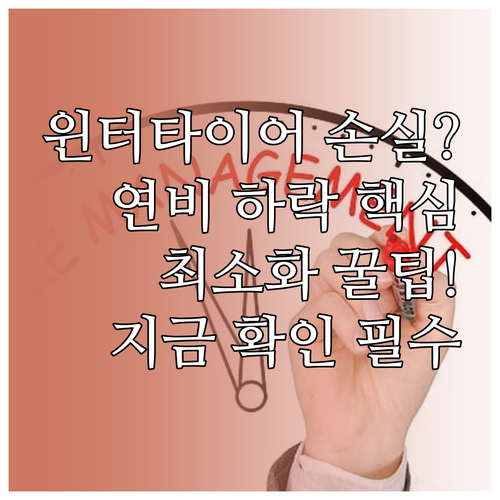 윈터타이어 연비 하락의 원인과 손실을..