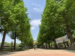 진주 가볼만한 곳 베스트 10