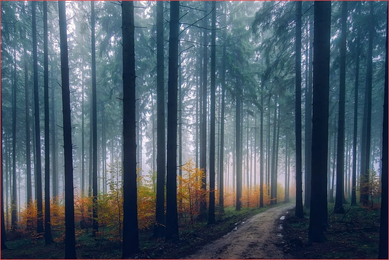 농협 정기예금 금리