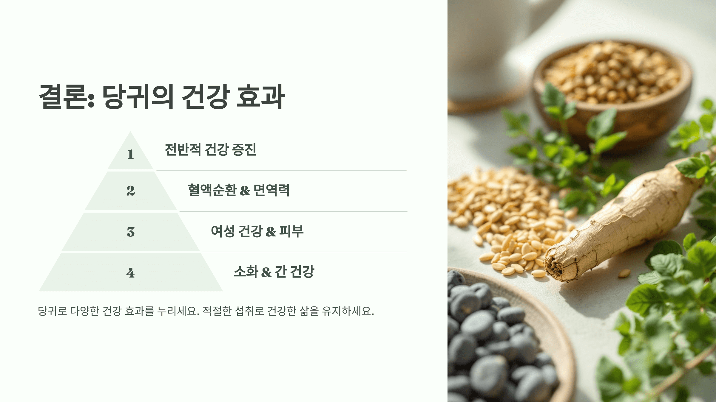 당귀 사진입니다.