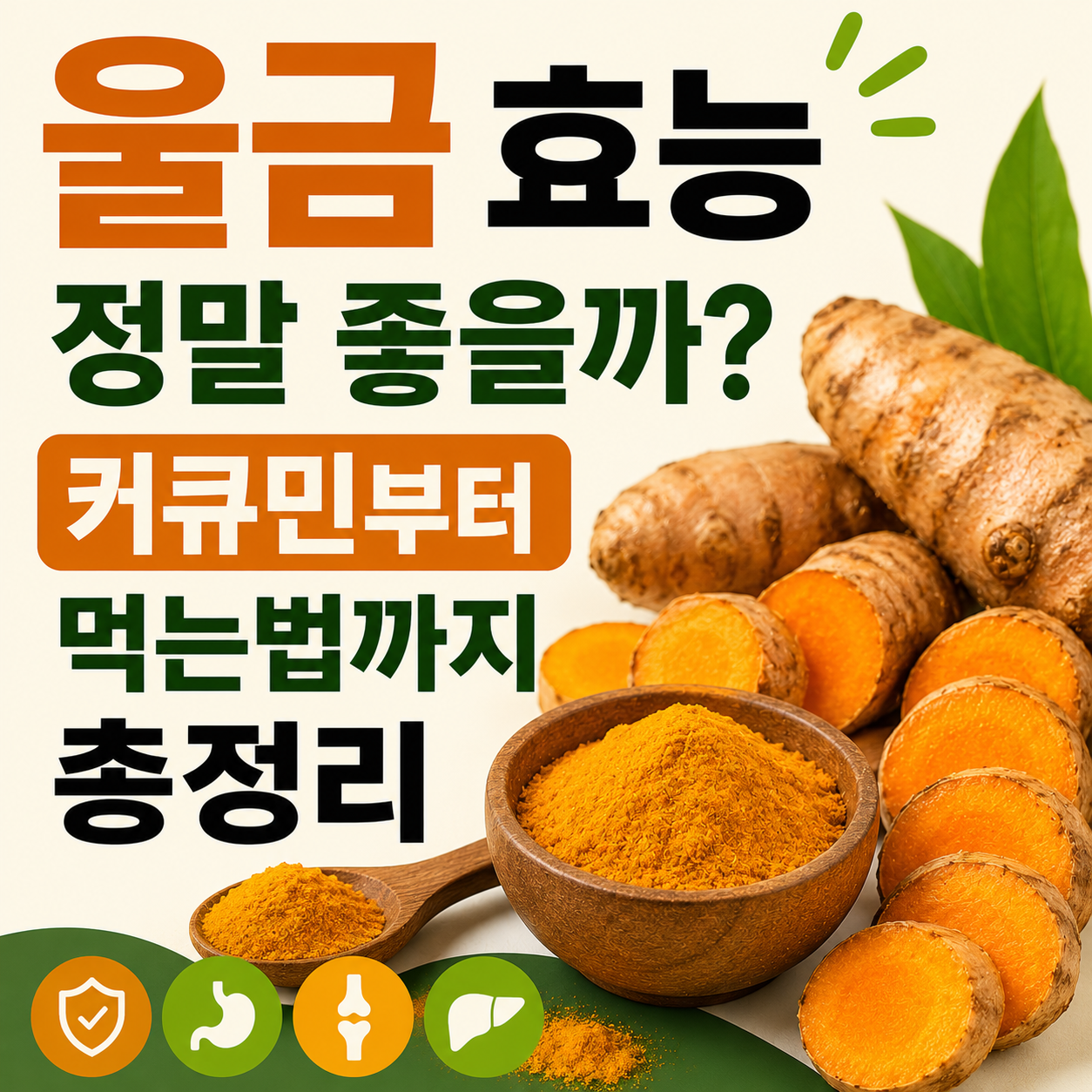 울금 효능