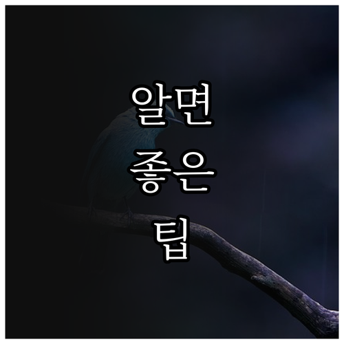 2025 안산 방문등록대상자 약품 소..