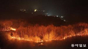산불피해 지원&amp;#44; 울산-경북-경남&nbsp;산불대응 중앙재난안전대책본부