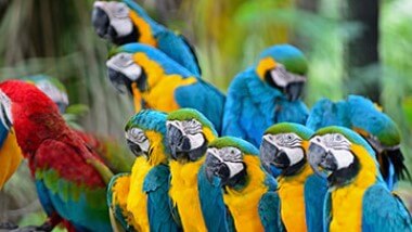 울산대공원장미축제