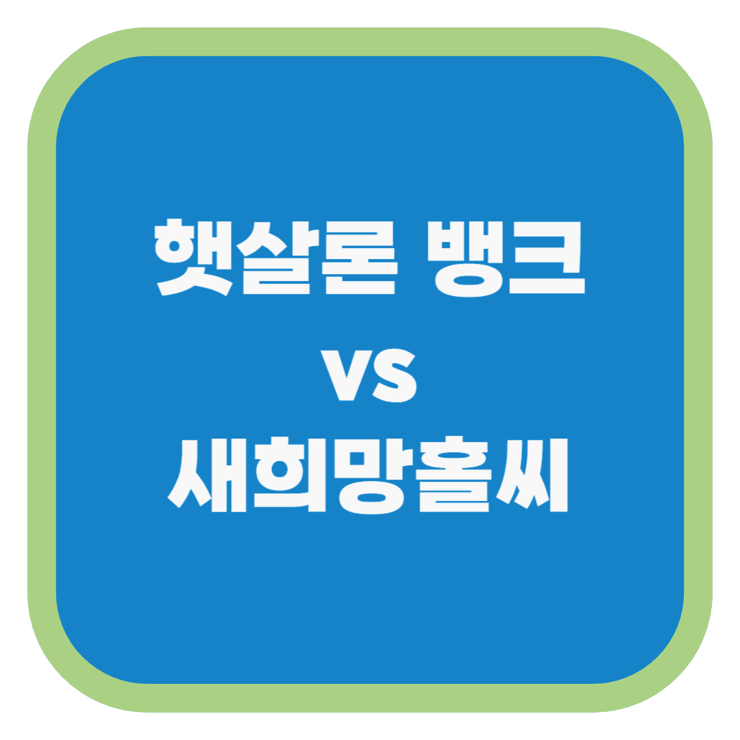 햇살론 뱅크 vs 새희망홀씨