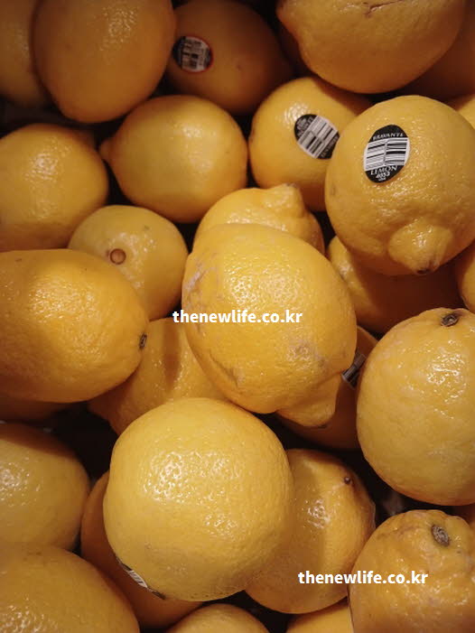 레몬즙 효능의 올바른 섭취 방법을 안내하는 실사진