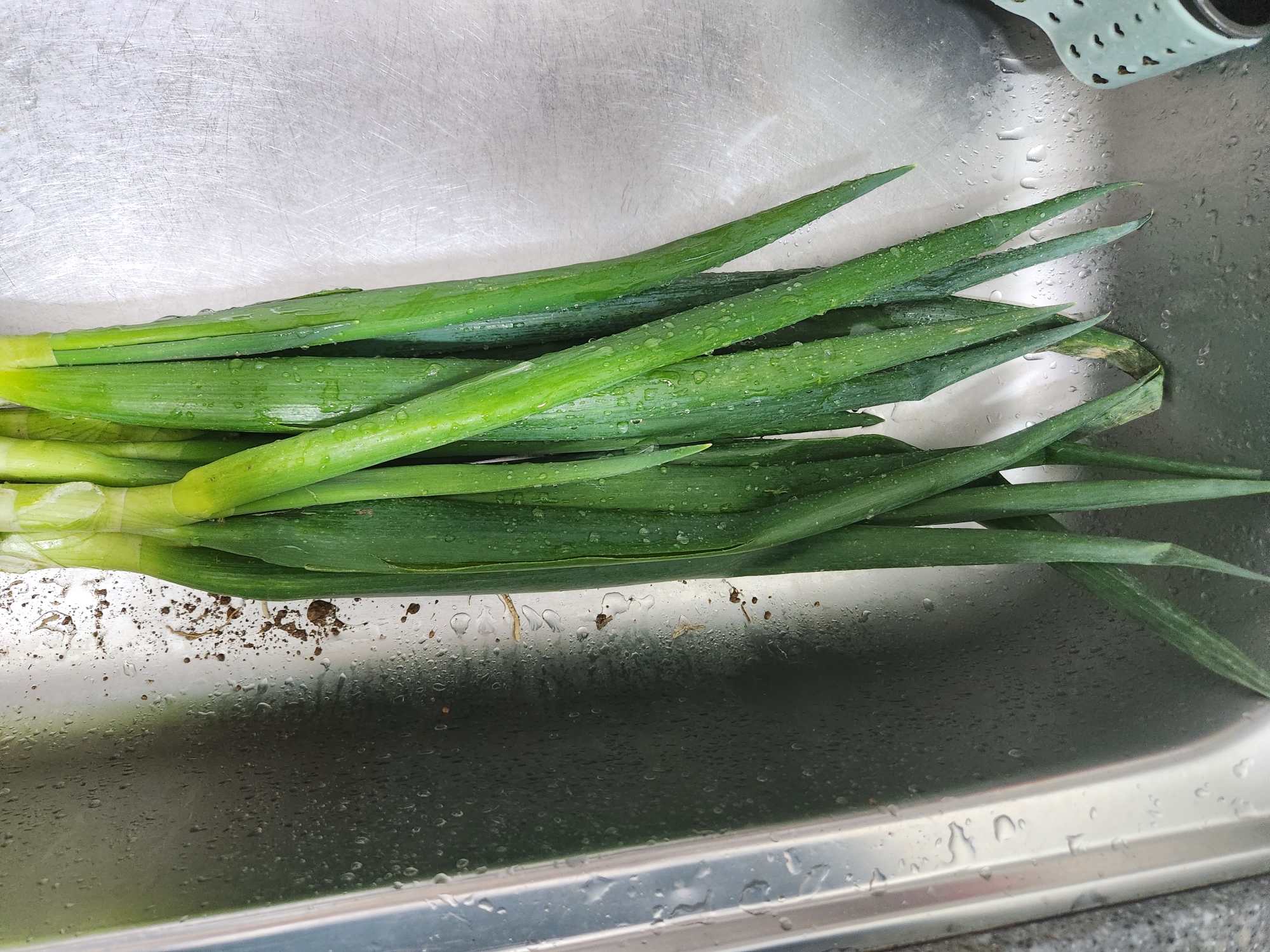 대파 보관법&amp;#44; 대파 효능에 대해 확실히 알려드릴게요. 냉동보관법