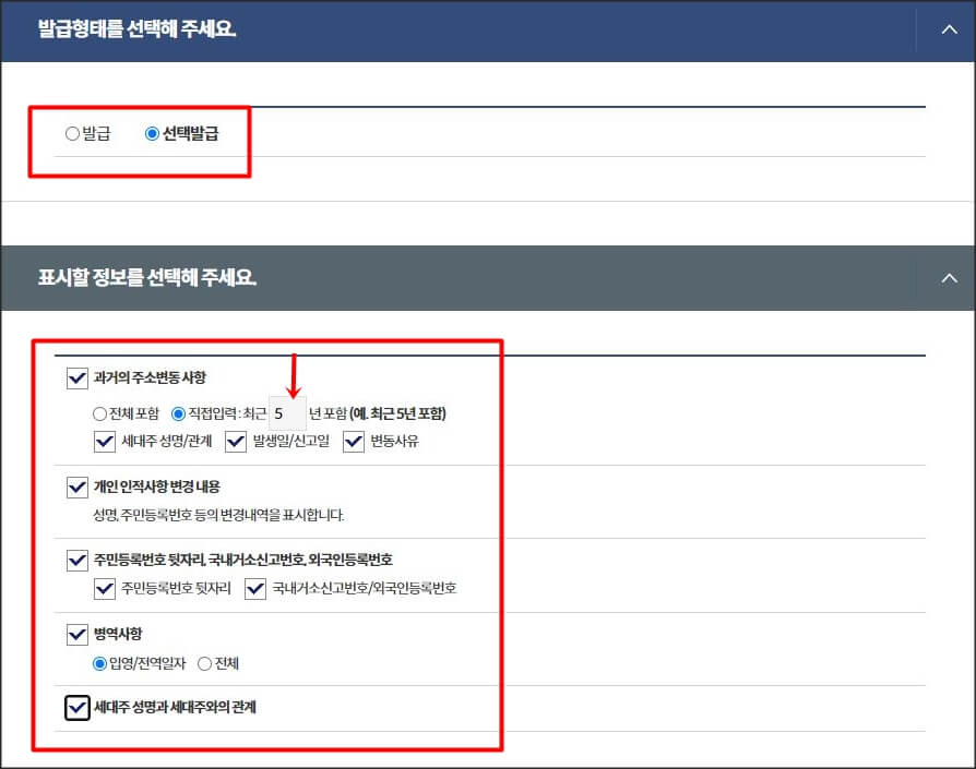 발급형태 선택발급체크