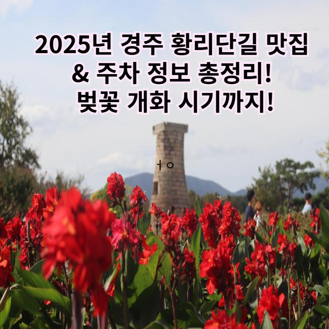 2025년 경주 황리단길 맛집 &amp; 주차 정보 총정리! 벚꽃 개화 시기까지!