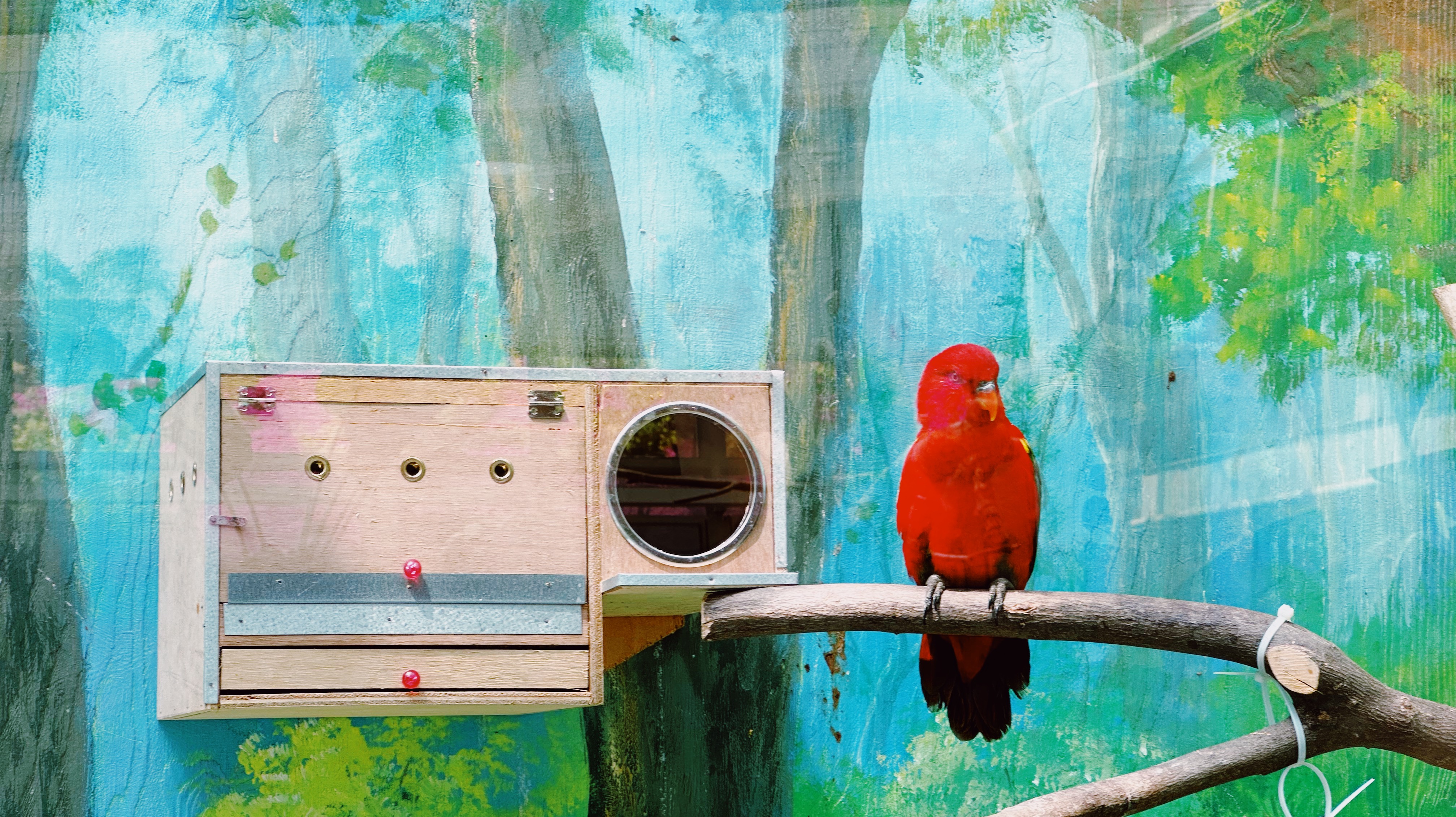 오월드 버드랜드