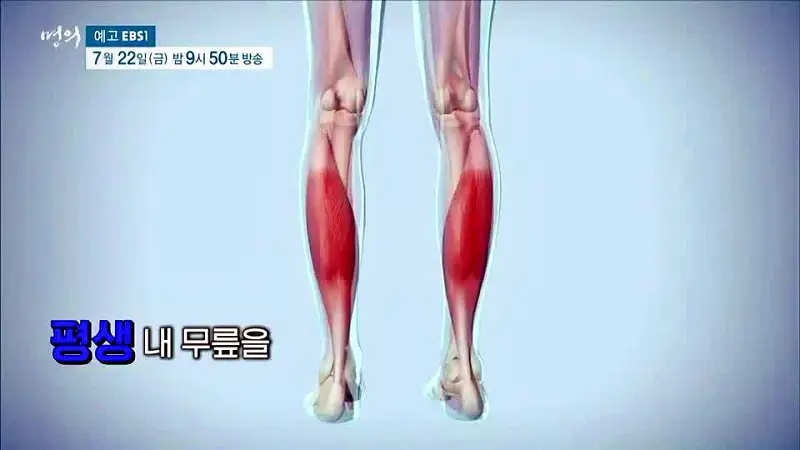 명의 수술 없이 무릎을 오래 쓸 마지막 기회 새 무릎으로 사는 법 치료법 정형외과 인용 교수, 재활의학과 이종인 교수