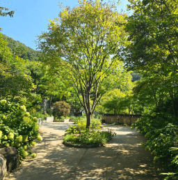가을천 단풍여행 화담숲 화담채 모노레일 입장권 예약 방법 안내