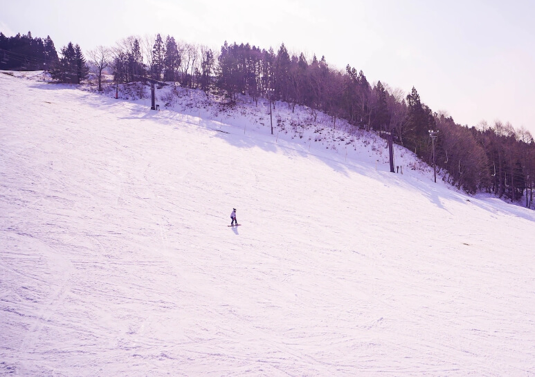 자오-산