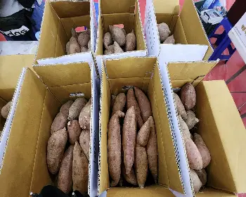 강경 젓갈축제_30