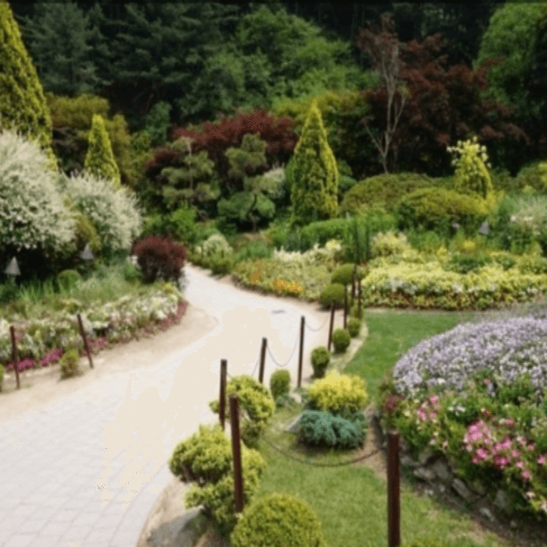 효도여행 패키지 고르는 법