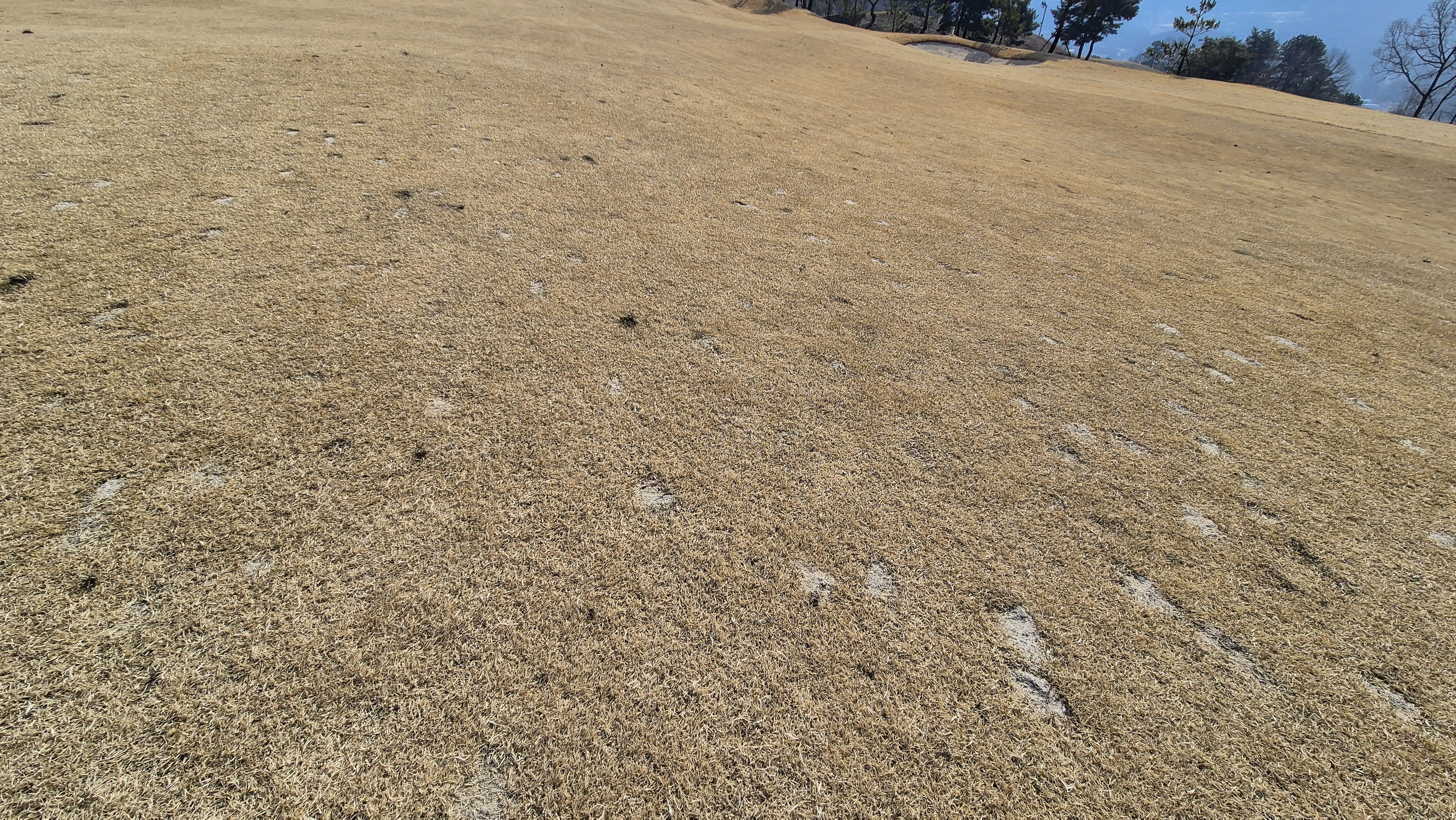 이글몬트cc 히든-이글 코스 라운드 후기