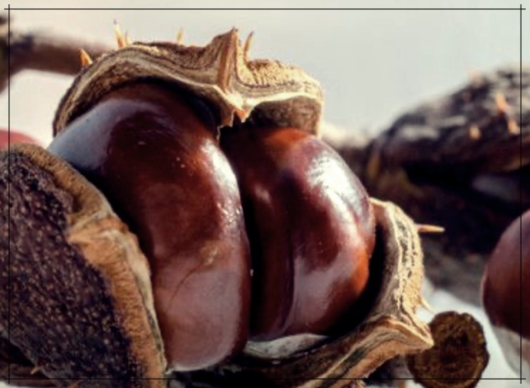 머리 부딪친 후 울퉁불퉁 생긴 혹을 빨리 없애는 방법