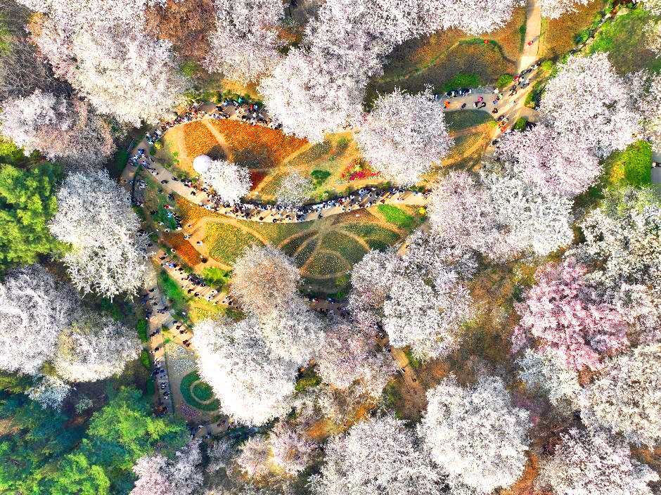 서대문 봄빛축제