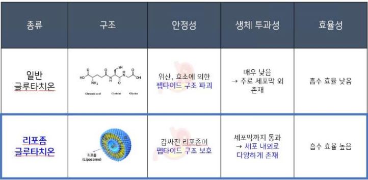 리포좀-글루타치온-특징