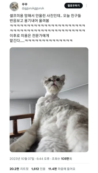 &amp;quot;고양이