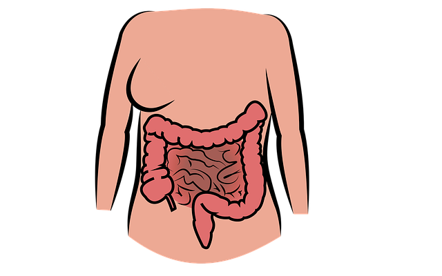 대장내시경 용종 발견 보험적용
