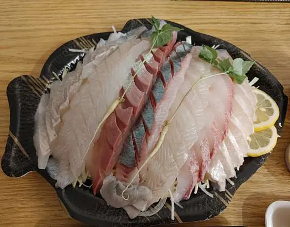 속초회잔니