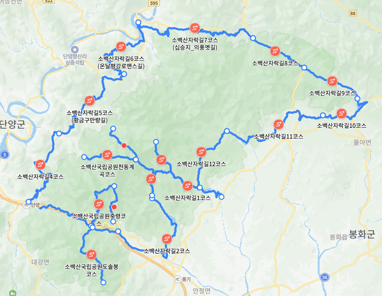 소백산 등산코스 - 철쭉과 야생화따라 걷는 봄꽃 산행🌸