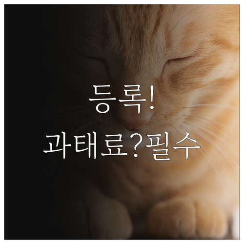 반려견 등록 의무와 과태료 기준 최초..