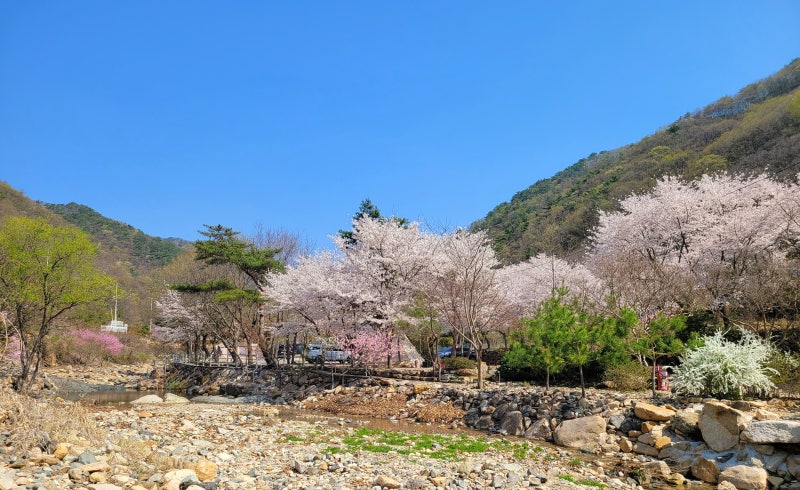 경남 무릉도원 오토캠핑장 소개