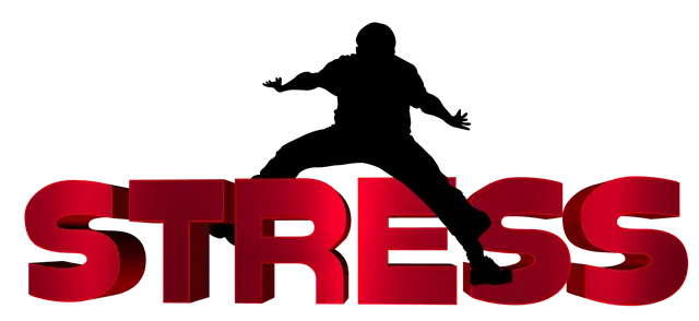 스트레스성 요실금 vs 절박성 요실금 차이점 완벽 정리