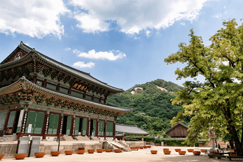 신선대01