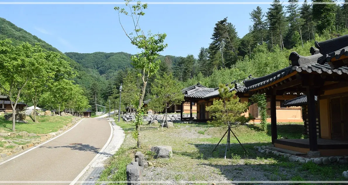 남겨서-뭐하게-양평-민박집-맑은-숲-캠프-가격-예약