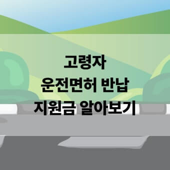 운전면허 반납 지원금