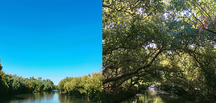 쓰차오-그린터널