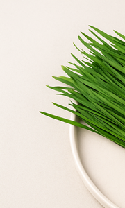 부추전 맛있게 만드는 법