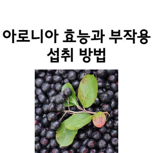 아로니아 효능과 부작용, 섭취 방법