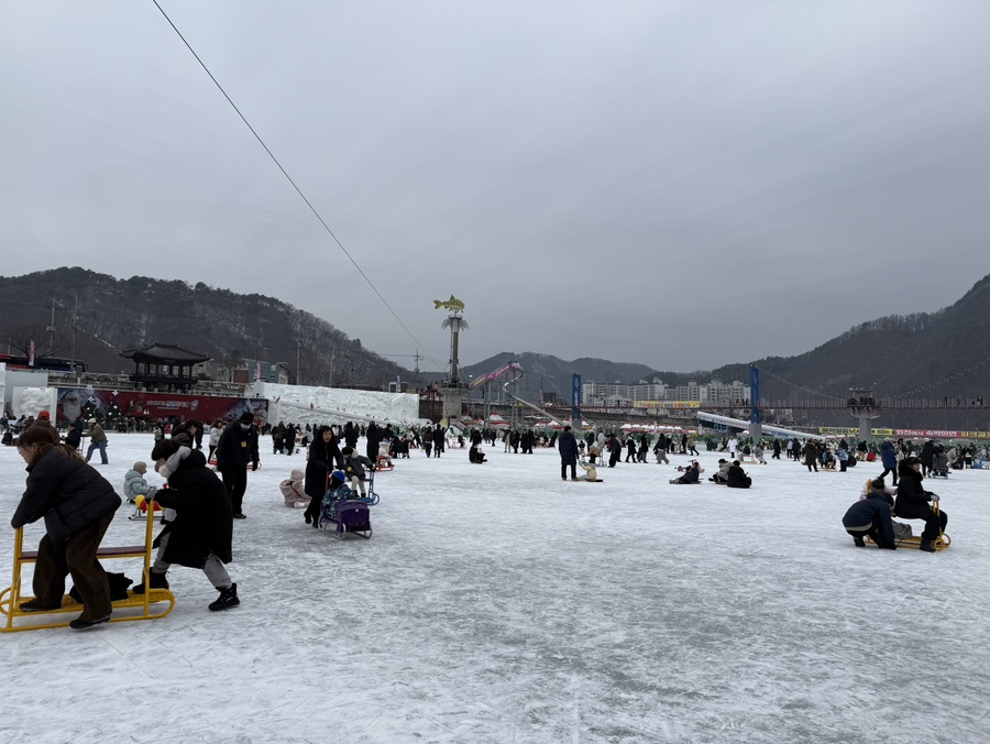 화천 산천어축제에서 방문객들이 튜브 썰매를 타고 얼음 위를 미끄러지듯 내려오는 얼음썰매장 전경