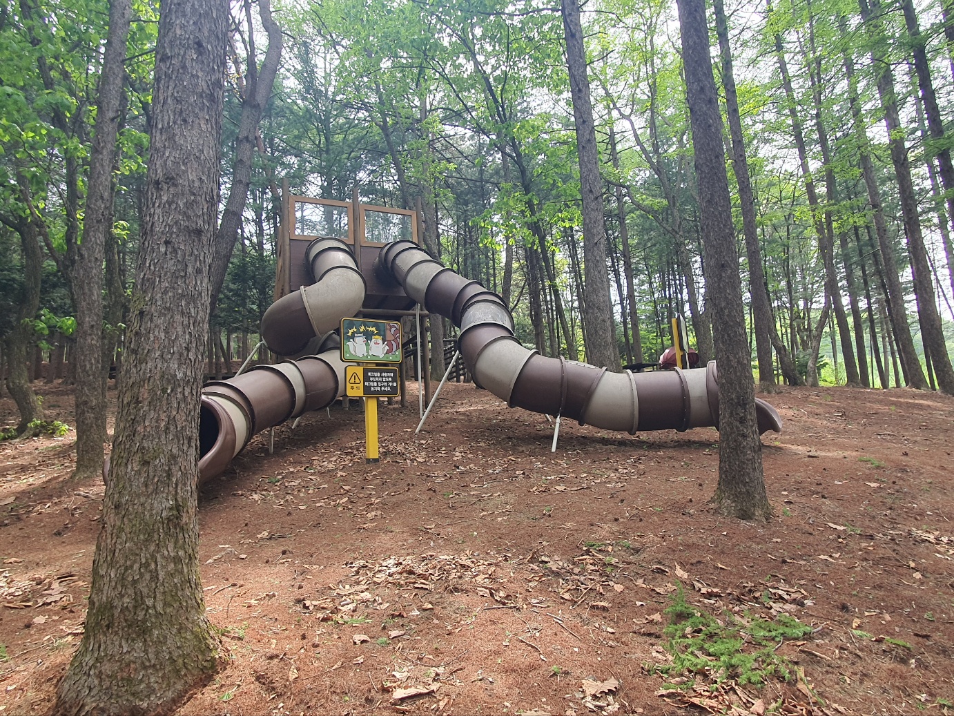 봉래산산림욕장